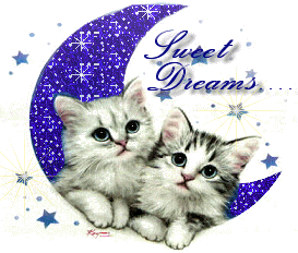 Sweet Dreams - Good Night -B1