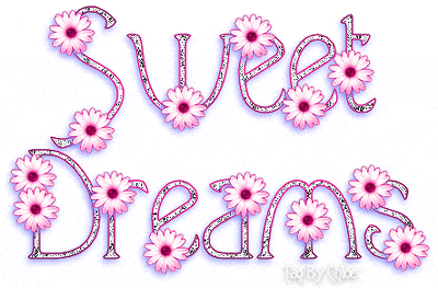 Sweet Dreams Good Night -B1