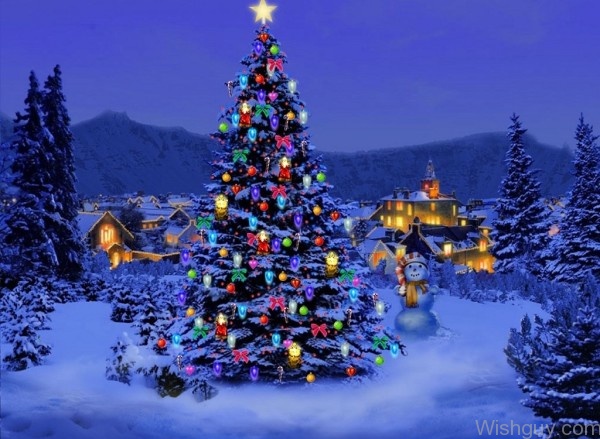 Beautiful Christmas Picture -mn4