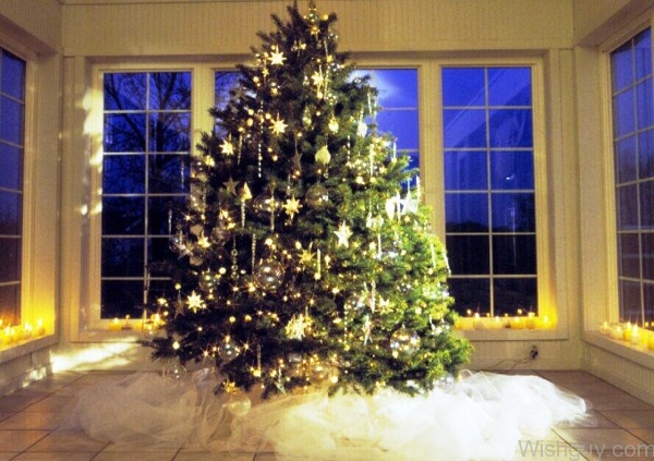 Beautiful Decorative Christmas Tree -mn4