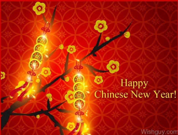Chinese New Year - Picture