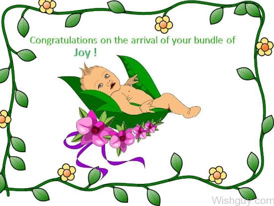 Congratulayions On The Arrival Of Your Bundle Of Joy -mn36