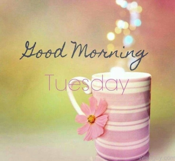 Good Morning Tuesday