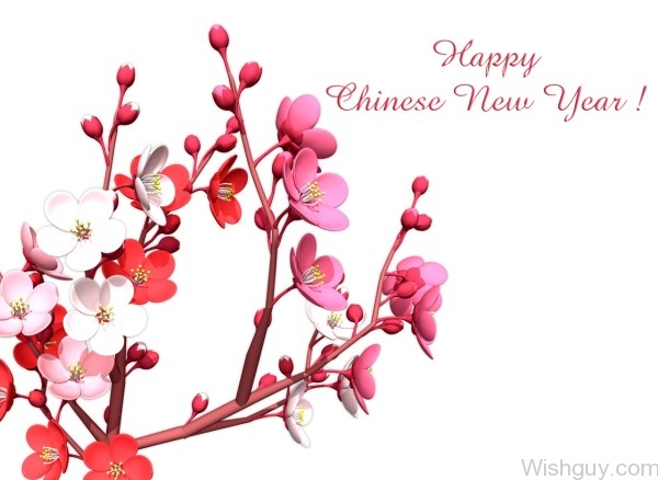 Happy Chinese New Year Wishes!