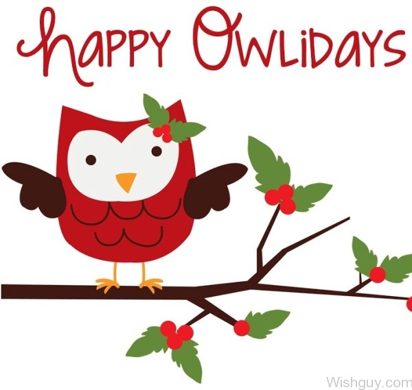 Happy Owlidays