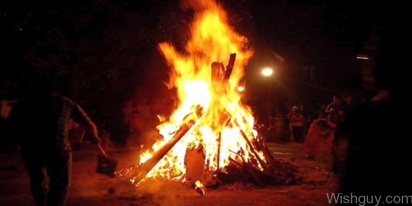 Holika Dahan - Picture