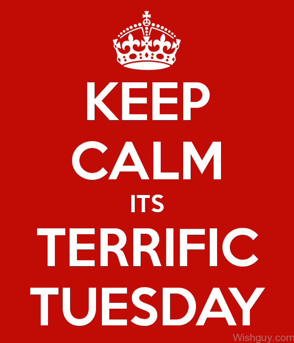 Its Terrfic Tuesday