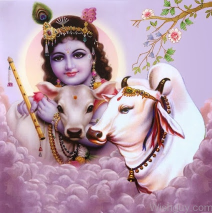 Jai Sri Krishna -nm7
