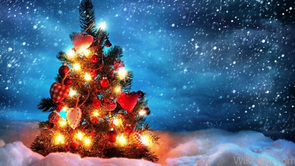 Lovely Christmas Tree -mn4