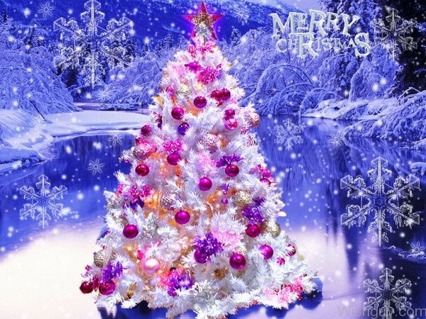 Merry Christmas To U -mn4