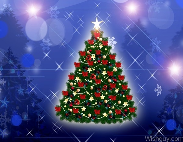 Ssweet Christmas tree -mn4