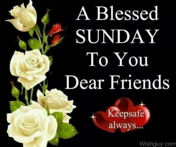 A Blessed Sunday-wg801