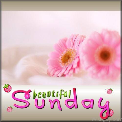 Beautiful Sunday-wg807