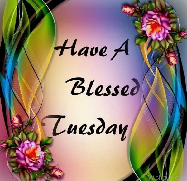 Blessed Tuesday