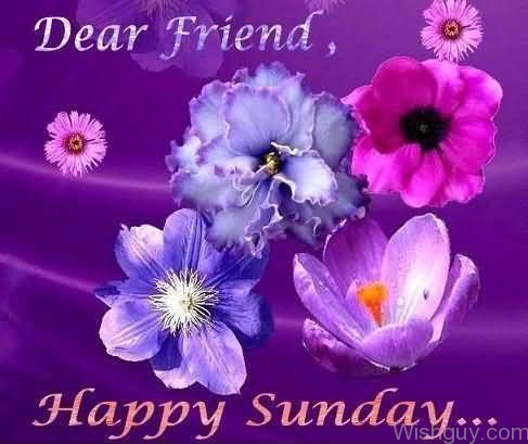 Dear Friend - Happy Sunday-wg809