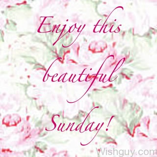 Enjoy The Beautiful Sunday-wg812