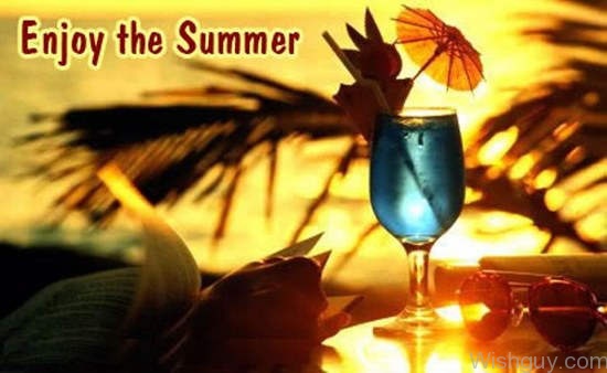 Enjoy The Summer-wg706