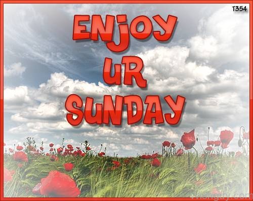 Enjoy Your Sunday-wg814