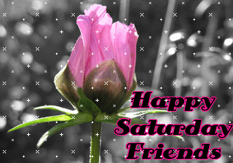Happy Saturday Friends-ig8-wg1037