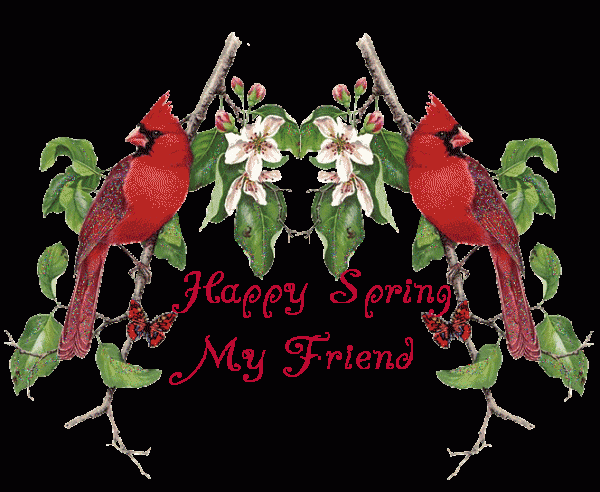 Happy Spring My Friend-wg6034