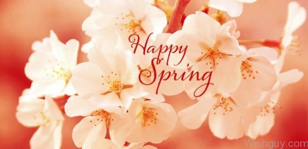 Happy Spring Season To All-wg6043