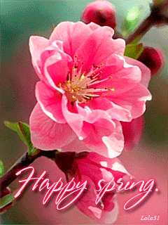 Happy Spring To You !-wg6055