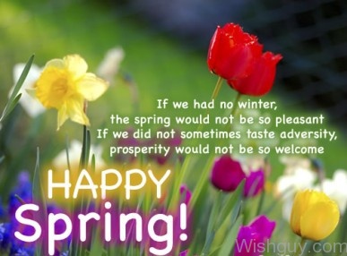 Happy Spring To You-wg6058