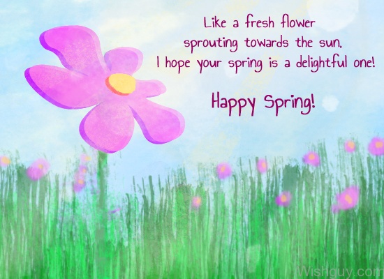 Happy Spring !!-wg6026