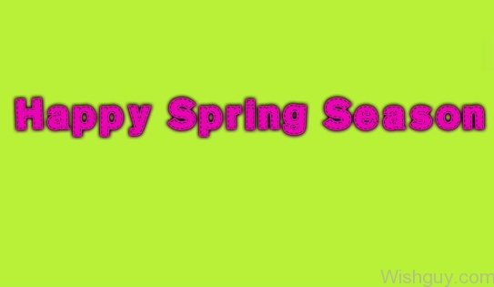 Happy Spring-wg6060