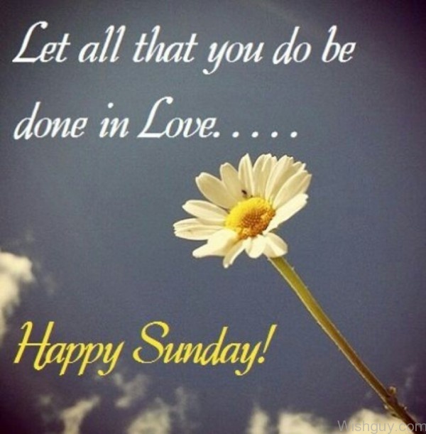 Happy Sunday !!-wg827
