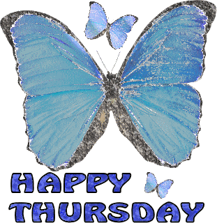 Happy Thursday Butterfly Graphic-wg514