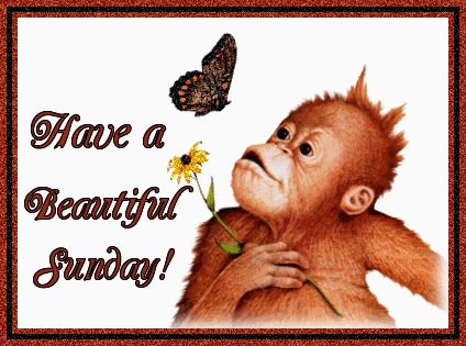 Have A Beautiful Sunday !-wg837