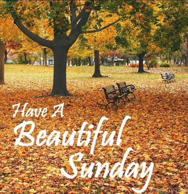 Have A Beautiful Sunday-wg840