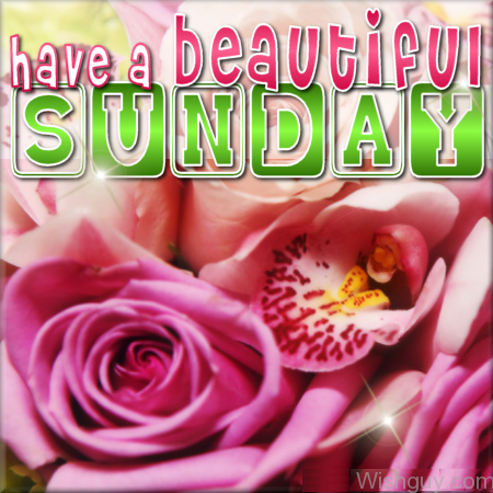 Have A Beautiful Sunday-wg841