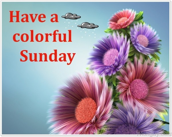 Have A Colorful Sunday-wg846