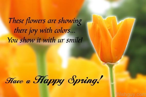 Have A Happy Spring !!-wg6063