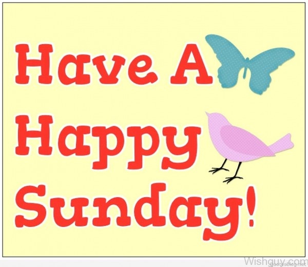 Have A Happy Sunday-wg848