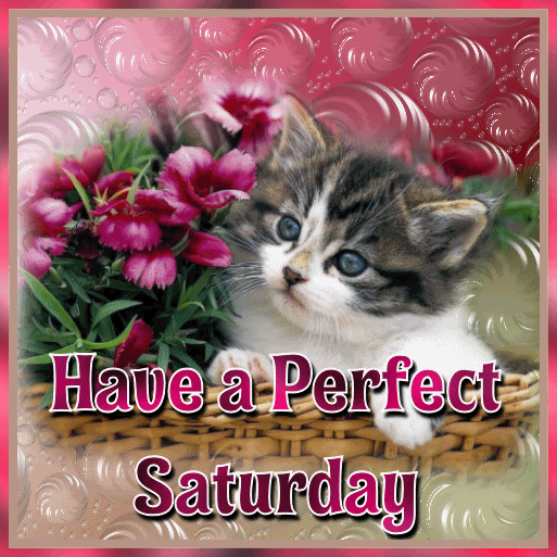 Have A Perfect Saturday-ig8-wg1067