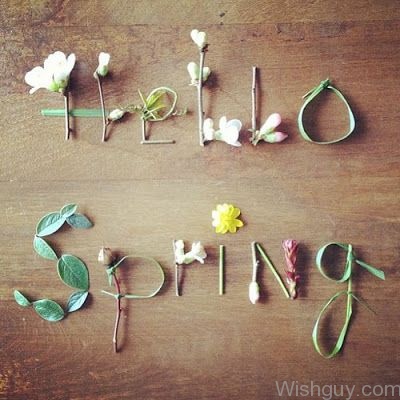 Hello Spring-wg6068