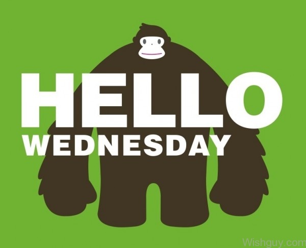 Hello Wednesday-wg317