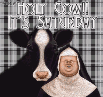 Holy Cow - Saturday-ig8-wg1075