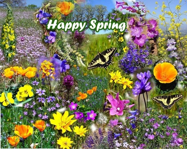 Lovely Spring Garden-wg6075