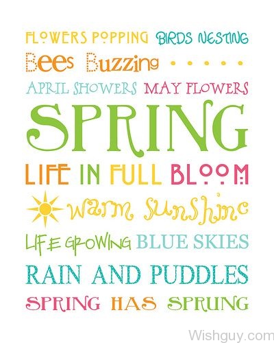 Spring Is Full Of Bloom-wg6092
