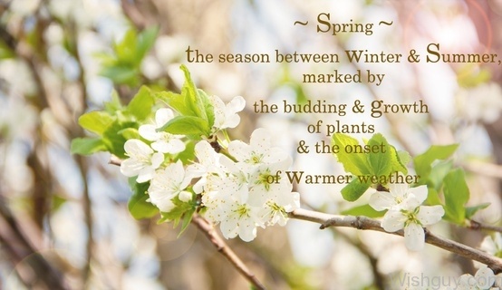 Spring - Quote !-wg6084