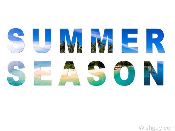 Summer Season !-wg767