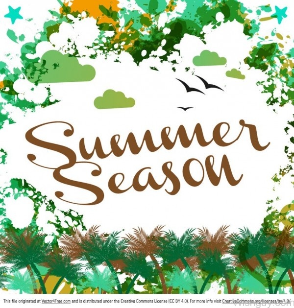 Summer Season-wg768