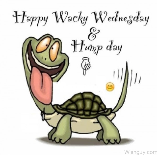 Wacky And Hump Wednesday-wg328