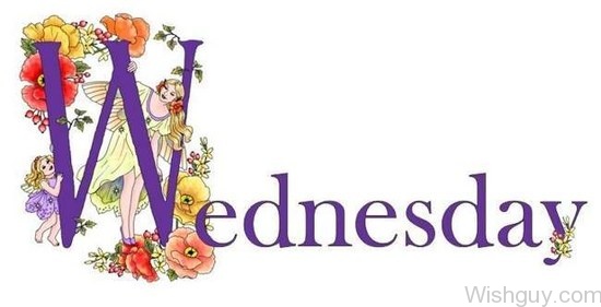 Wednesday Flowering-wg330