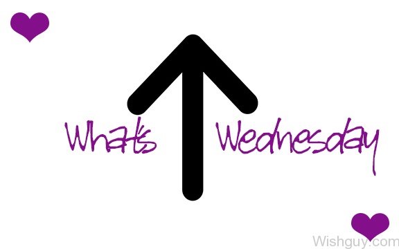 Whats Up Wednesday-wg344