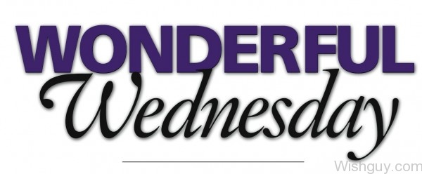 Wonderful Wednedsay-wg345